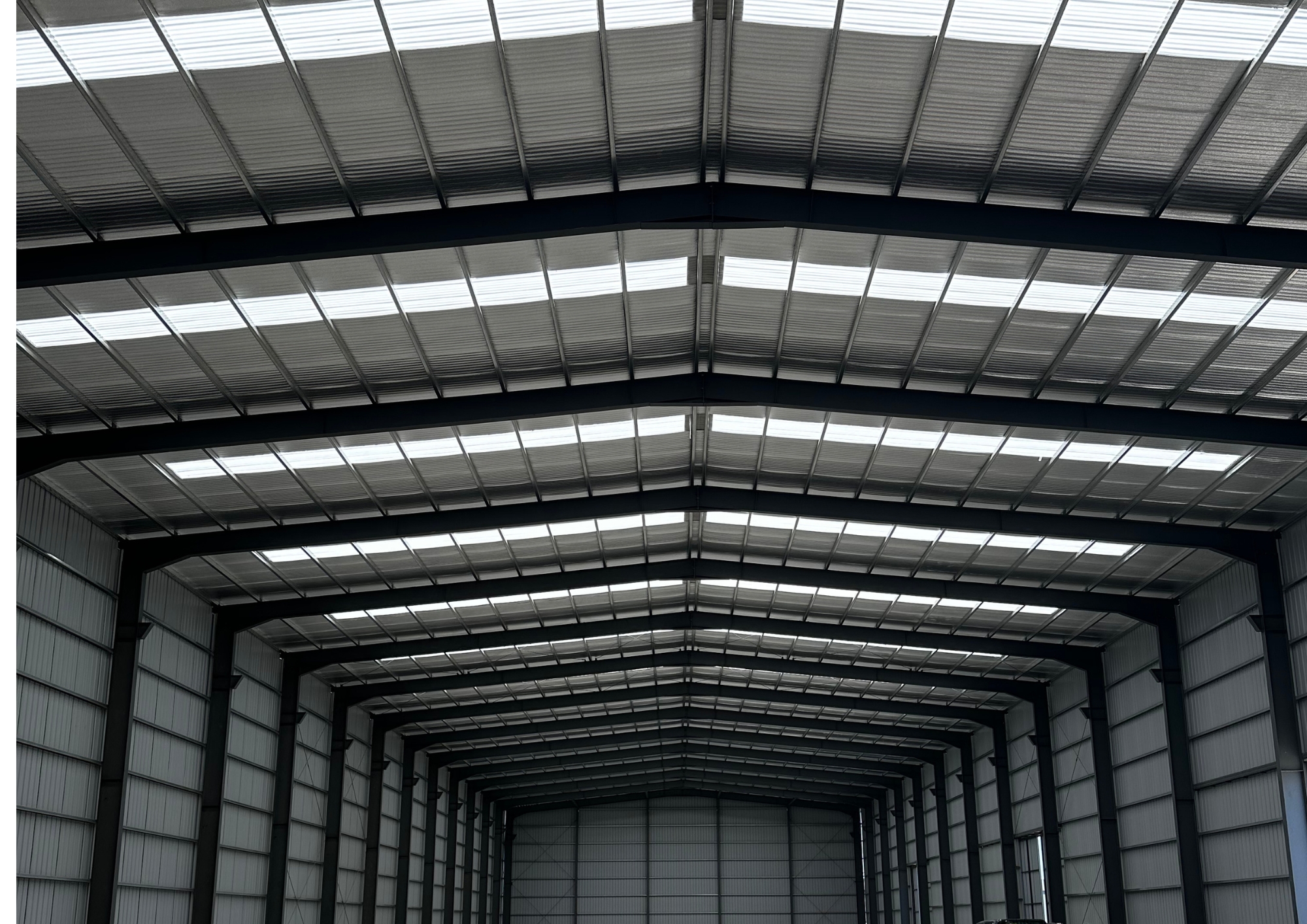 Imagenes Polo 52 (5)